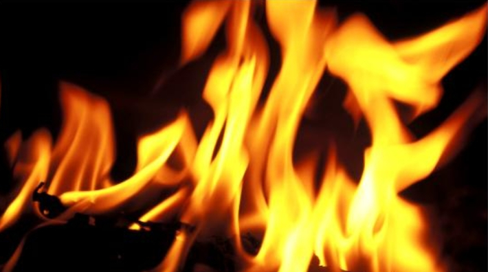 스마트이미지 제공 