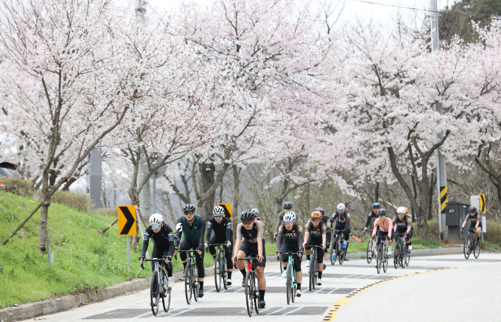 임실군, 4월 11일 '옥정호 그란폰도·메디오폰도 대회' 개최