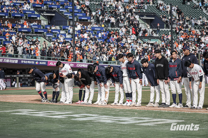 올해 프로야구 시범 경기 1위를 차지한 롯데. 롯데 자이언츠 