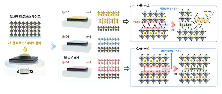 구조 형성 전략에 대한 모식도와 구조 변화 모식도. KAIST 제공