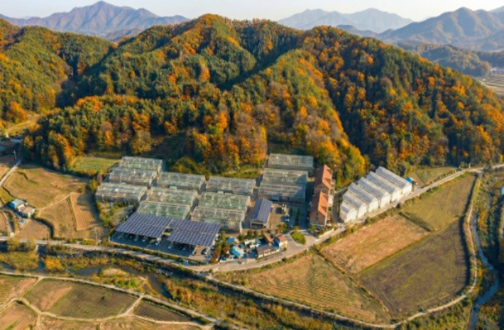 임산물 스마트팜 실증단지 조감도.경북도 제공