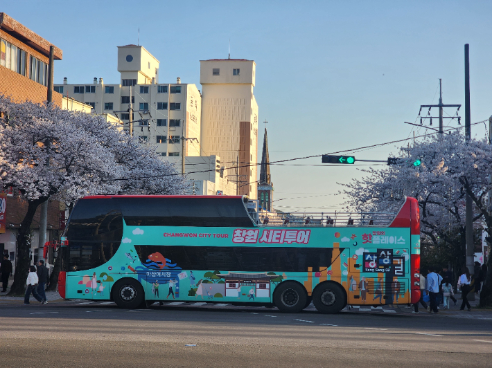 제64회 진해군항제 벚꽃 투어버스 특별 운행. 창원시 제공