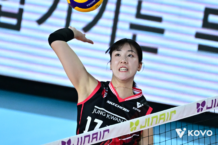 정호영. 한국배구연맹