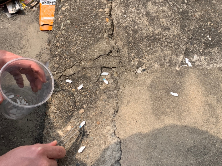 경주시민들이 음식물쓰레기 납부필증으로 사용된 플라스틱 칩 부스러기를 수거하고 있다. 경주환경연 제공