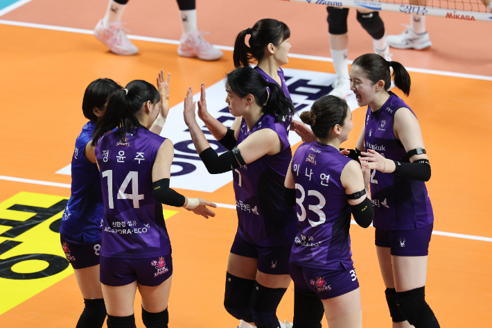 24일 서울 중구 장충체육관에서 열린 프로배구 2025-2026 V-리그 포스트시즌 여자부 준플레이오프 GS칼텍스와 흥국생명의 경기. 흥국생명 선수들이 득점한 뒤 서로 격려하고 있다. 연합뉴스 