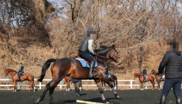 승마 교육장. 마사회 제공