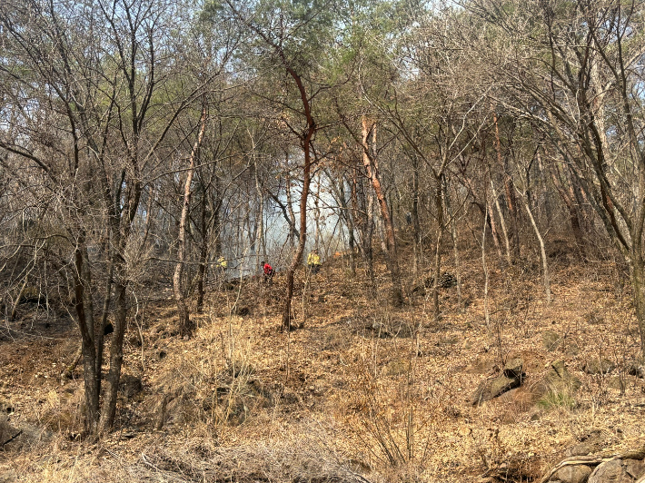 단양소방서 제공