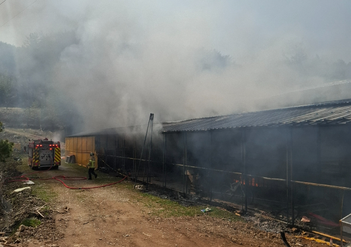 26일 오전 11시 40분쯤 전남 화순군 이양면의 한 염소 축사 내부에서 화재가 발생했다는 신고가 접수됐다. 전남소방본부 제공