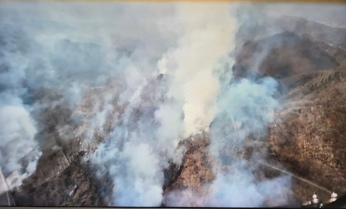 포항 남구 장기면 수성리 야산 화재. 경북소방본부 제공