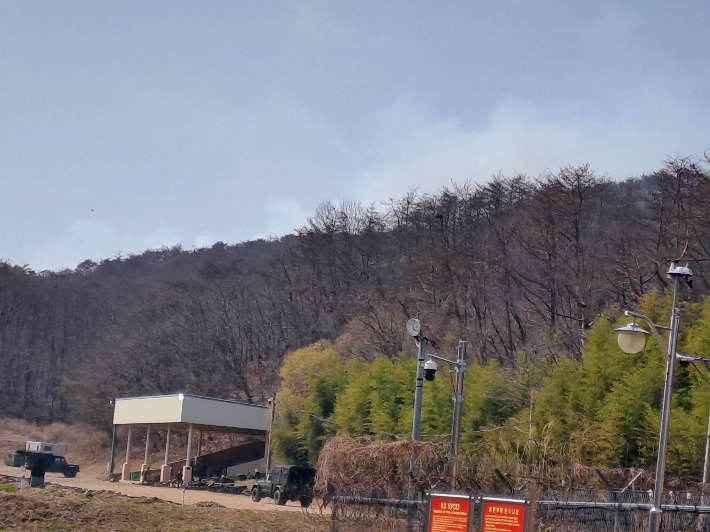포항 남구 장기면 수성리 야산 화재. 경북소방본부 제공