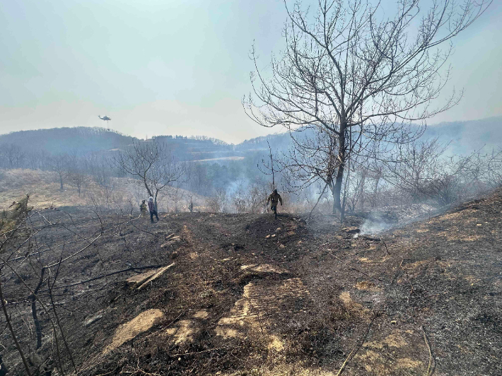 임실군 관촌면 신전리의 한 야산에서 불이 났다. 전북특별자치도 제공