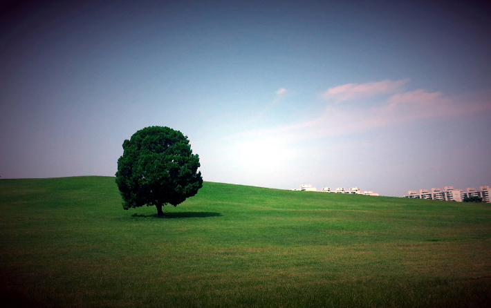 스마트이미지 제공