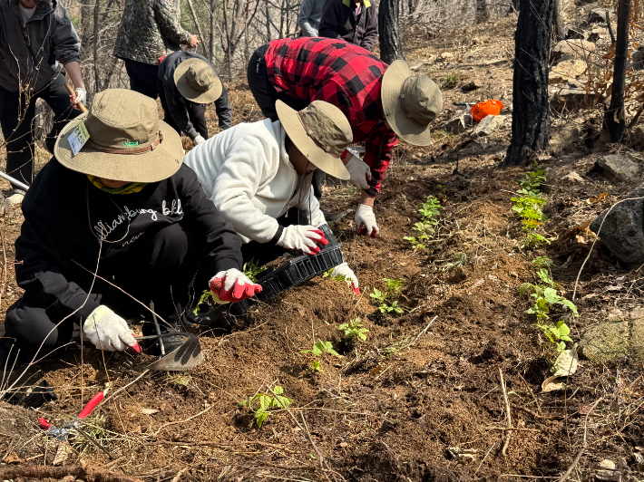 한국임업진흥원 제공