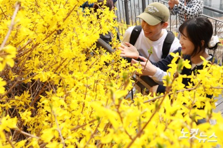 서울의 낮 기온이 21도까지 오르며 완연한 봄 날씨를 보이고 있는 가운데 27일 서울 성동구 응봉산 개나리 축제를 찾은 시민들이 봄을 즐기고 있다.