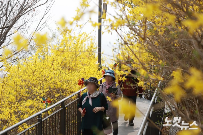 서울의 낮 기온이 21도까지 오르며 완연한 봄 날씨를 보이고 있는 가운데 27일 서울 성동구 응봉산 개나리 축제를 찾은 시민들이 봄을 즐기고 있다.
