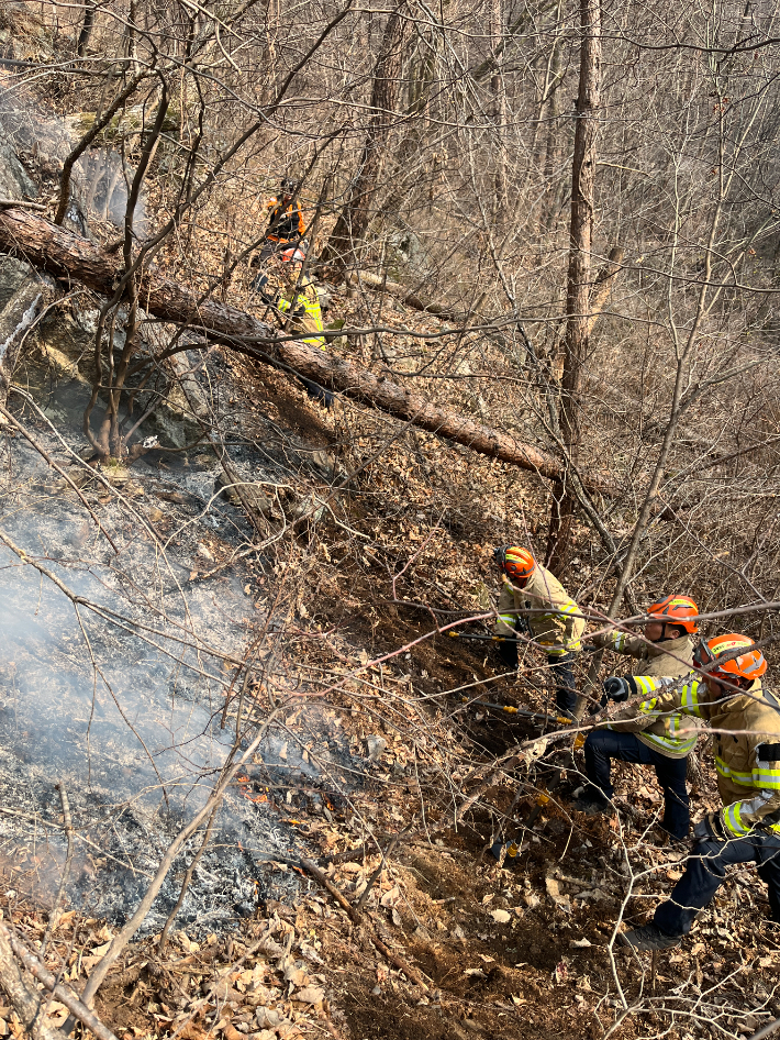 27일 오후 2시 38분쯤 경북 영주시 단산면 소백산 국립공원에서 불이 났다. 경북소방본부 제공 