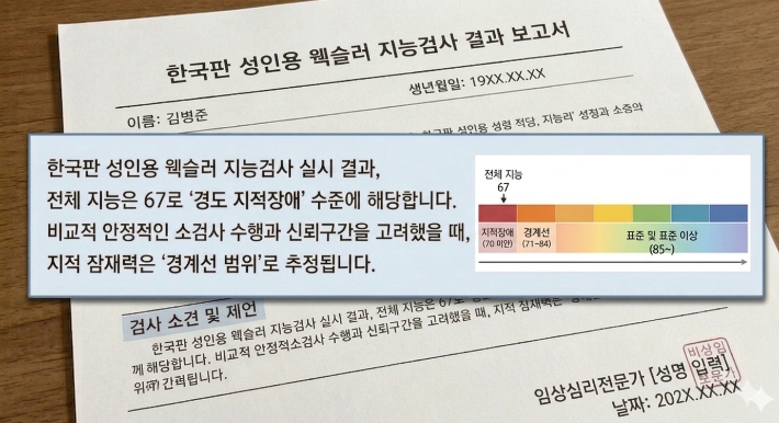 병준씨의 웩슬러 지능검사 결과 보고서. AI 생성 이미지