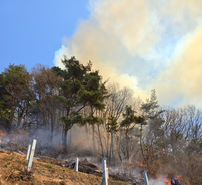 진주 산불. 산림청 제공 