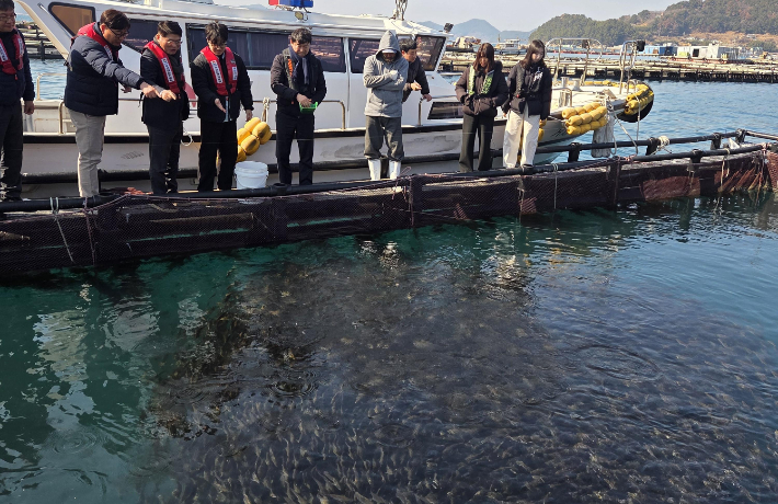 아열대 어종 월동 시험. 경남도청 제공 