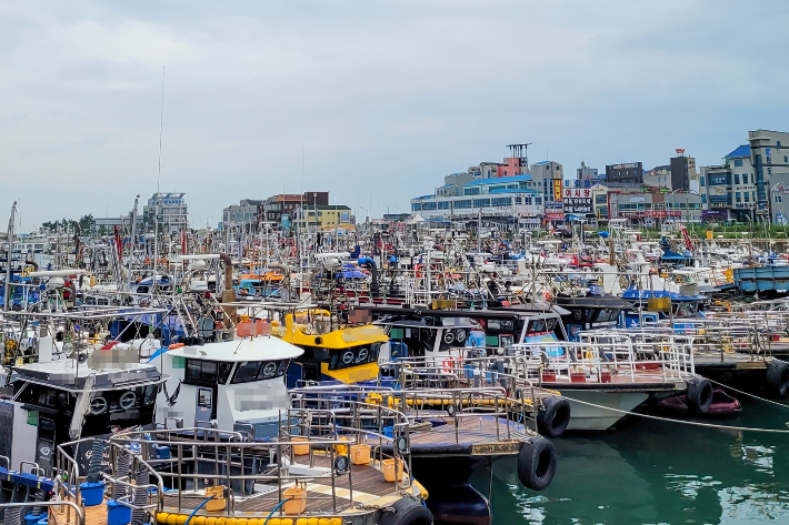 비응항 모습. 기사와 직접적 관계 없음. 군산해양경찰서 제공