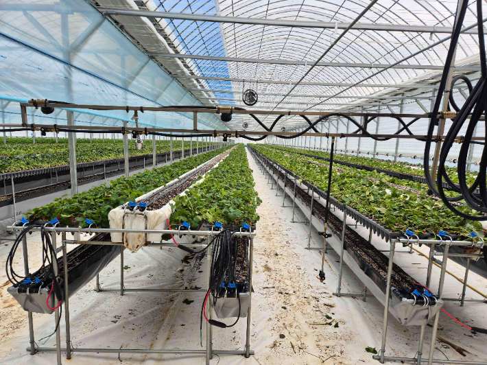 친환경농업육성기금으로 지은 비닐하우스. 전라남도 제공