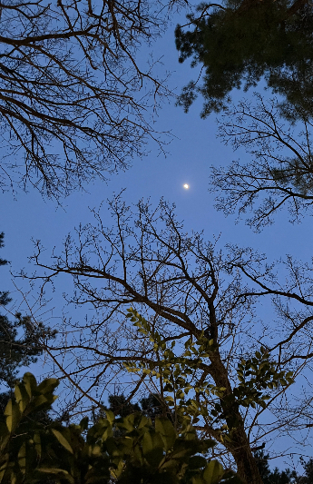 조중의 포항대학교 초빙교수·전직 언론인 제공