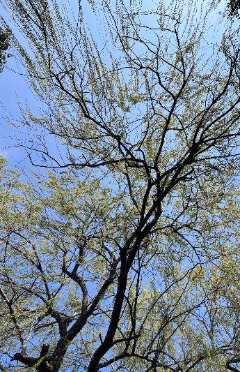 조중의 포항대학교 초빙교수·전직 언론인 제공
