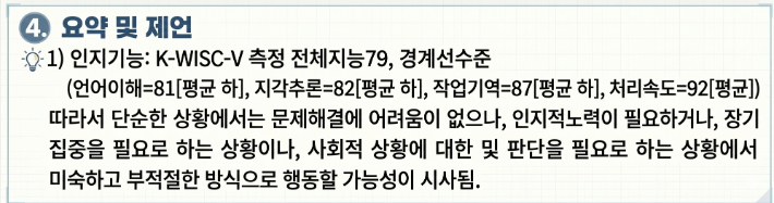 정선군의 웩슬러 지능검사 결과. AI 생성 이미지 재구성  