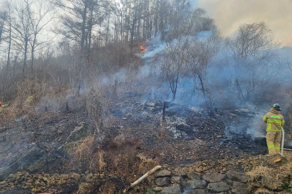 30일 오후 3시 19분쯤 강원 양구군 국토정중앙면 원리 야산에서 불이 나 약 50분 만에 꺼졌다. 강원도산불방지대책본부 제공