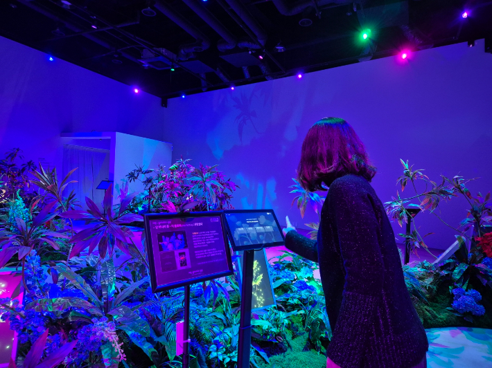관람객이 라원 디지털 정원에서 미디어 콘텐츠를 체험하고 있다. 경주시 제공