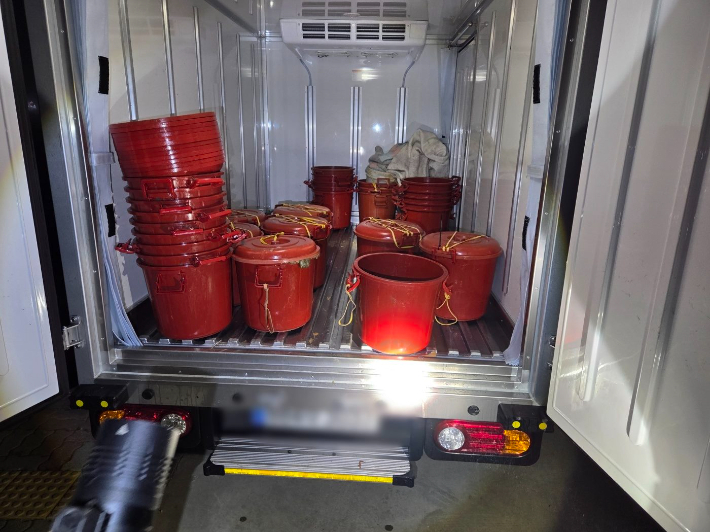 불법으로 채취한 해삼. 전북 군산해양경찰서 제공