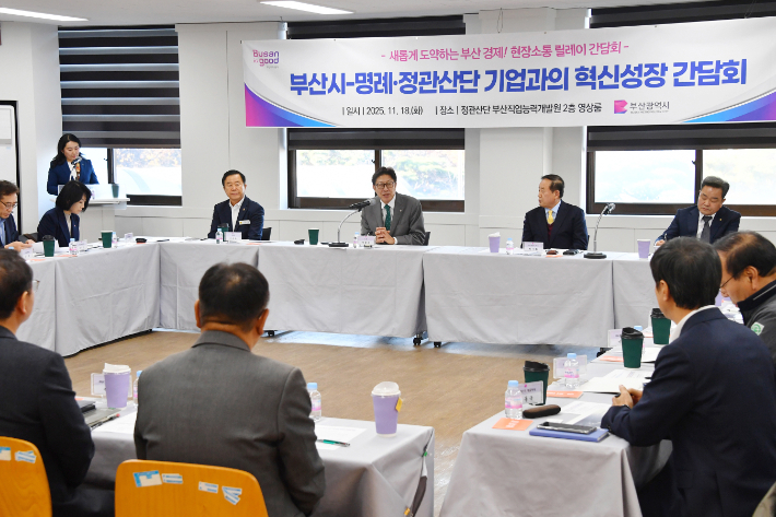 지난해 11월 명례·정관산업단지 입주 기업들과 혁신성장 간담회를 개최했다. 부산시 제공