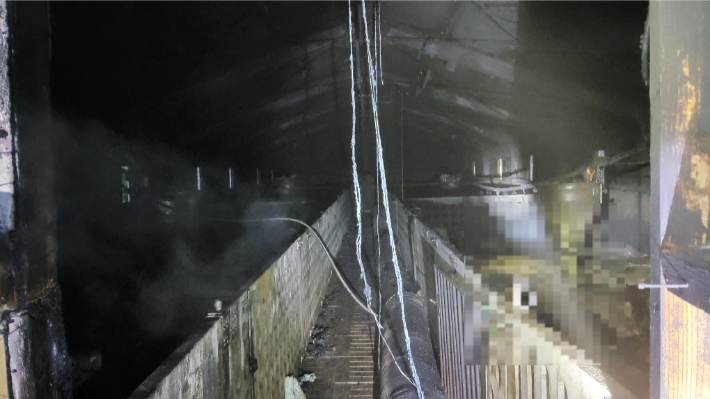 불이 난 돈사의 모습. 전북소방본부 제공