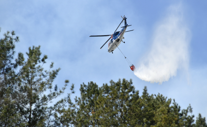 화천읍 중리 산불현장. 화천군 제공