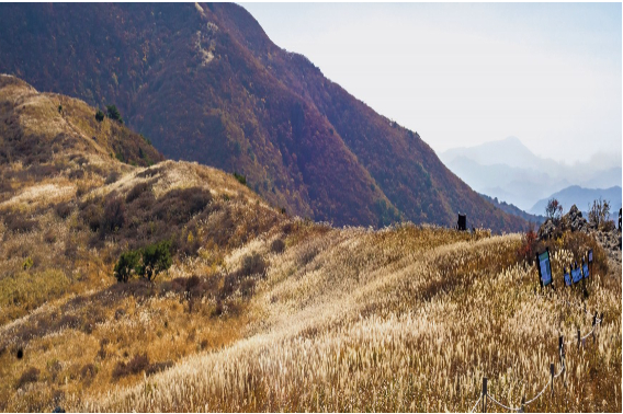 천성산. 양산시 홈페이지 캡처