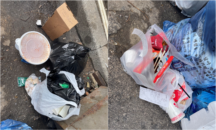전북 전주시가 일반 비닐 대체 배출 허용한 이후 31일 무분별하게 버려진 쓰레기. 전북환경운동연합 제공