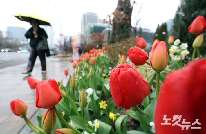 전국에 봄비가 내리고 있는 18일 서울광장 인근에서 시민들이 우산을 쓴 채 지나가고 있다. 황진환 기자