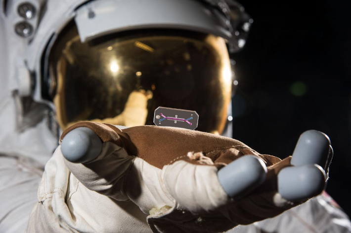 USB 메모리 크기의 장기칩. NASA/조쉬 발카셀