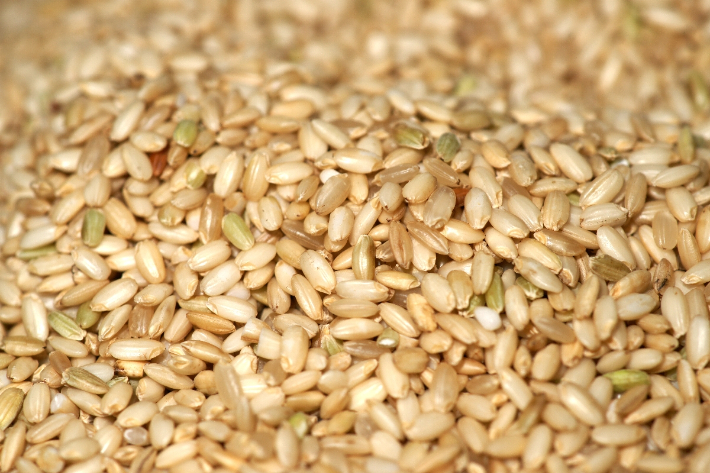 스마트이미지 제공