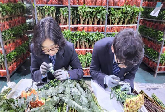 농림축산검역본부(이하 검역본부)가 수입 화훼류에 대한 현장검역을 실시하고 있다. 검역본부 제공 