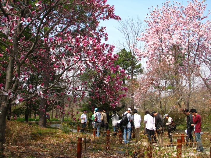 기청산식물원. 포항시 제공