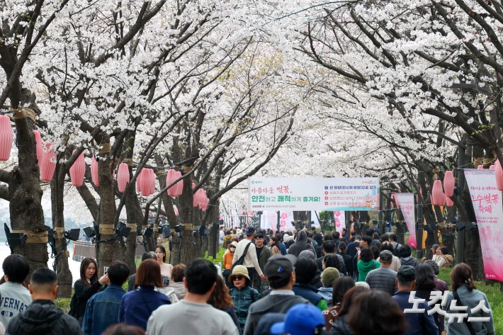 석촌호수 벚꽃놀이 인파