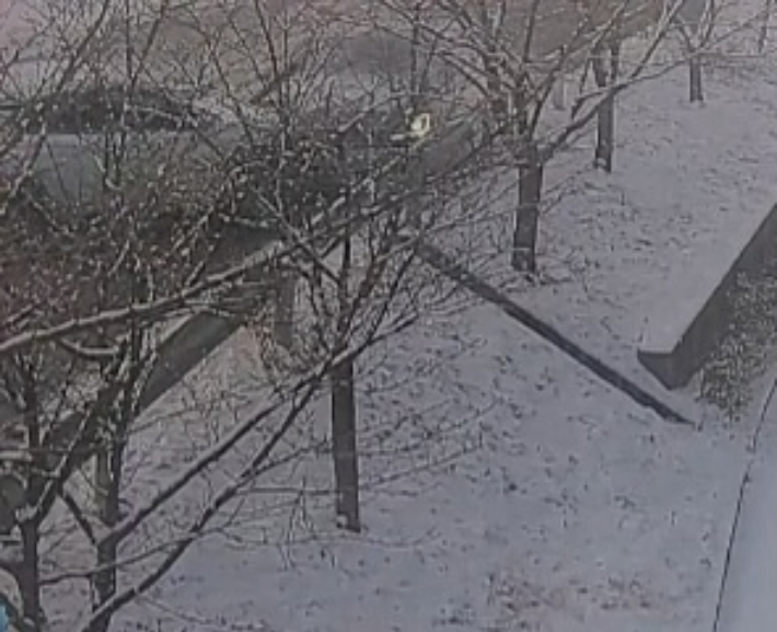 충주경찰서 제공