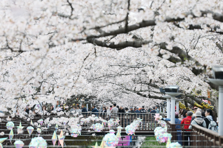 여좌천. 창원시 제공 