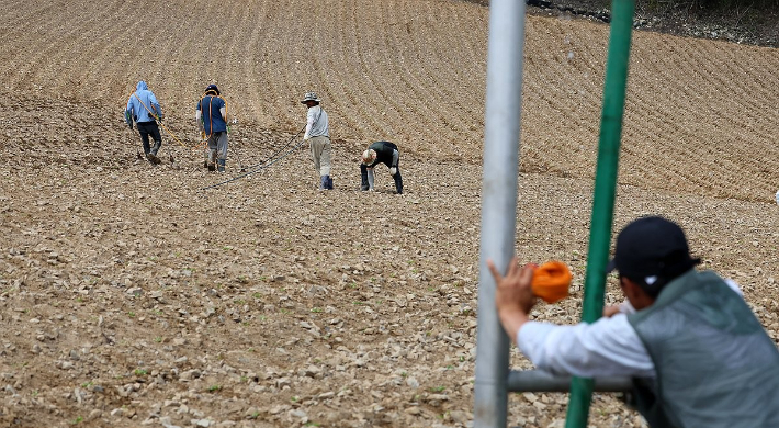 위 사진은 기사와 무관함. 연합뉴스