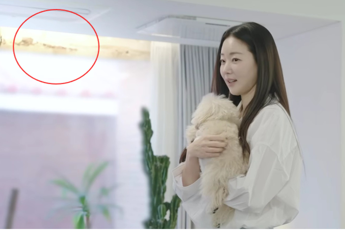 김사랑 유튜브 채널 캡처