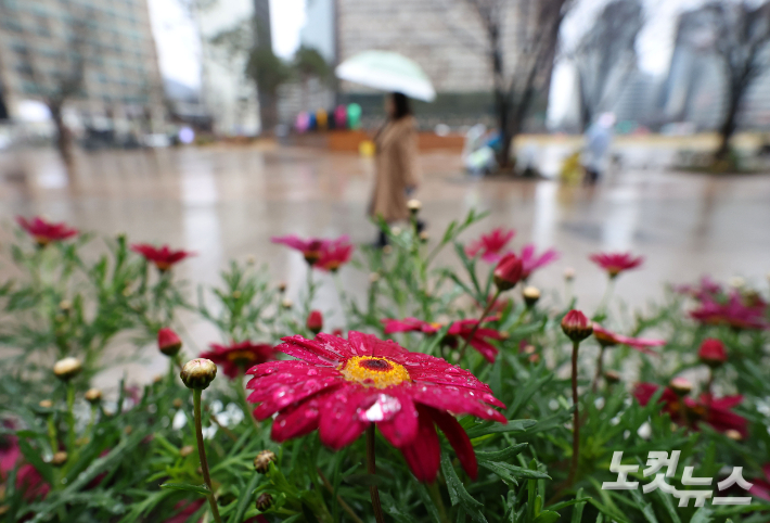 전국에 봄비가 내리고 있는 18일 서울광장 인근에서 시민들이 우산을 쓴 채 지나가고 있다. 황진환 기자