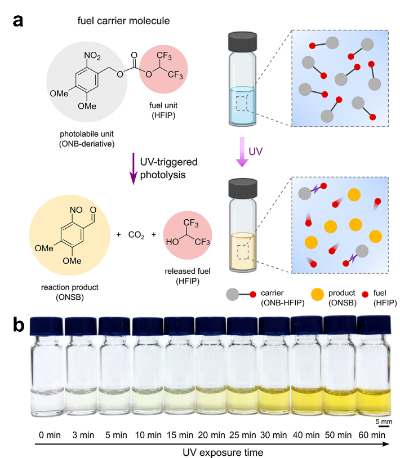 광화학 기반 연료 운반 분자의 설계 및 빛을 이용한 분자 분해 거동. 한국연구재단 제공