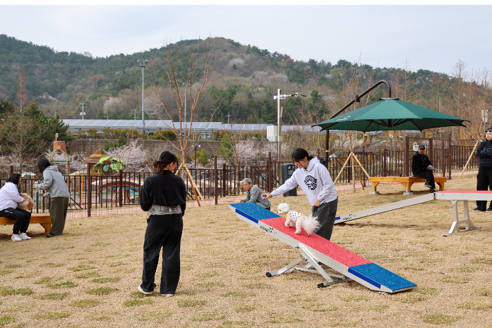 3일 김해댕댕파크. 김해시 제공