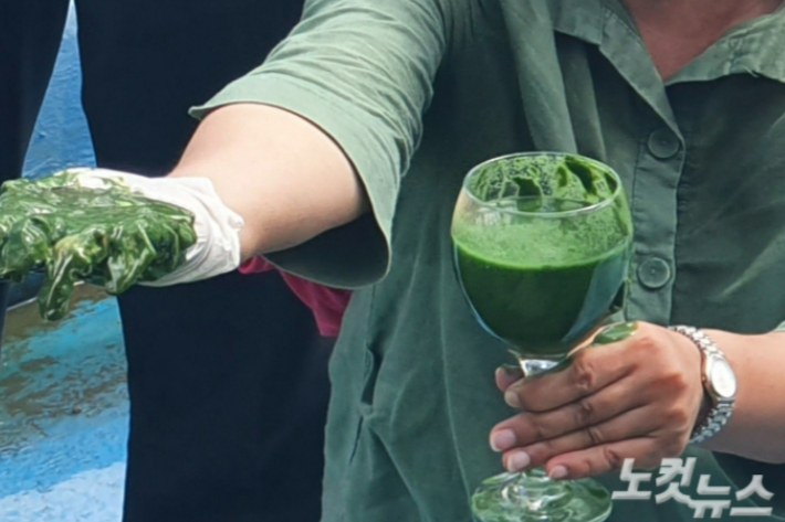 낙동강 녹조. 이형탁 기자